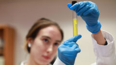 A female student holds a test tube with a neon-yellow fluid.