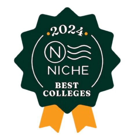 Niche 2024 logo