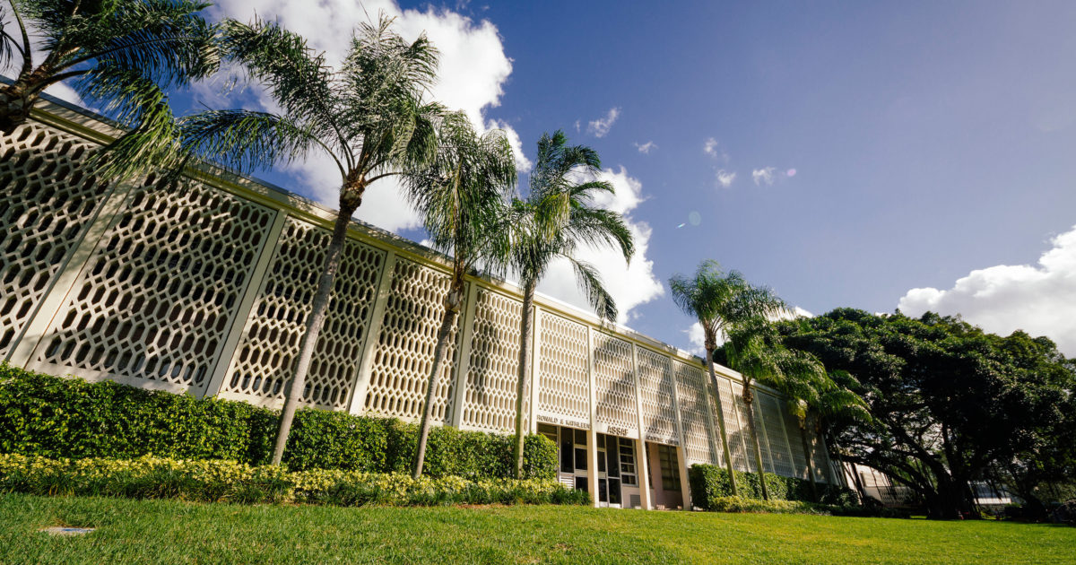 recognizing-our-devoted-professors-lynn-university