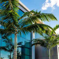 Two palm trees reflect in the glass windows of the university center on a sunny Florida afternoon.