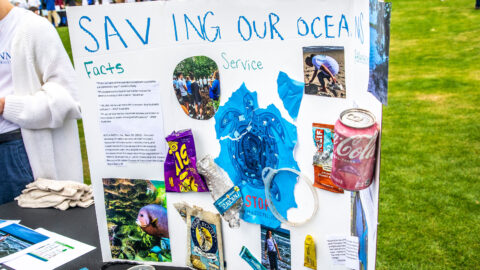 Poster board of "Saving Our Oceans" project from Citizenship Celebration.