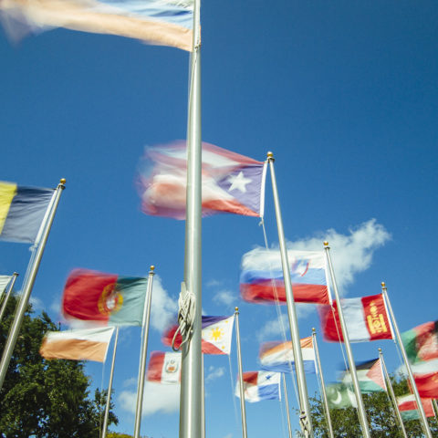 Lynn University campus flags blowing in the wind.