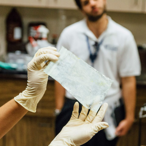 A student studies forensic evidence in the forensics investigations program.