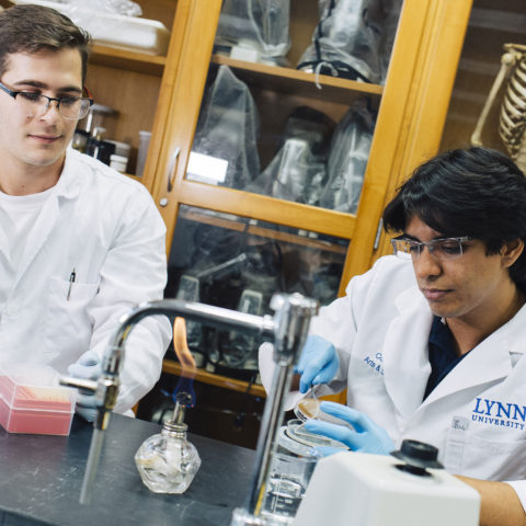 Students working in the lab at the College of Arts and Sciences.