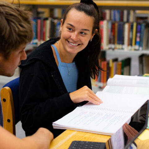 Students studying at library.