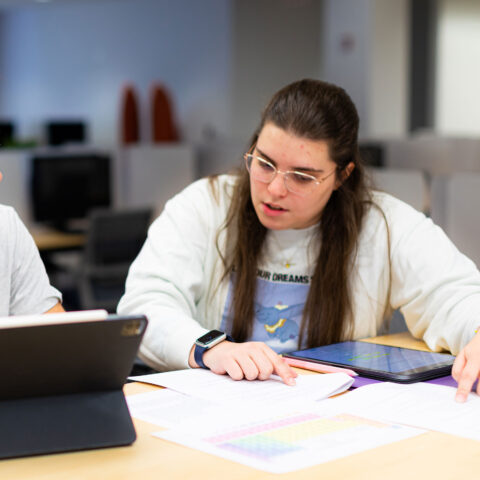 Two students studying in the library.