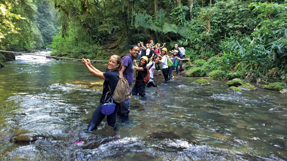 Students in brazilian jungle